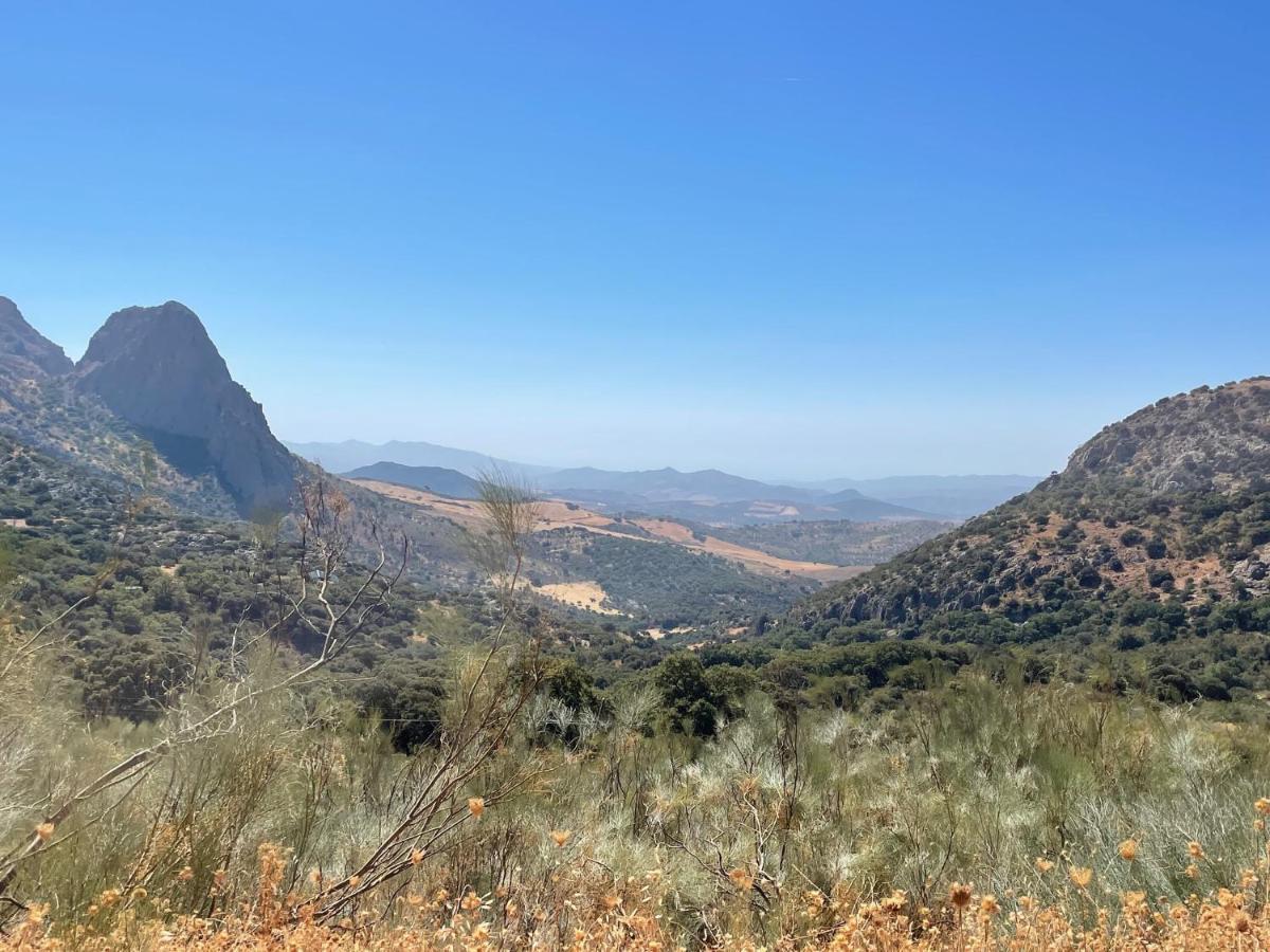 Cortijo Rancho Verde Colmenar Kültér fotó