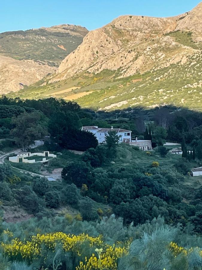 Cortijo Rancho Verde Colmenar Kültér fotó