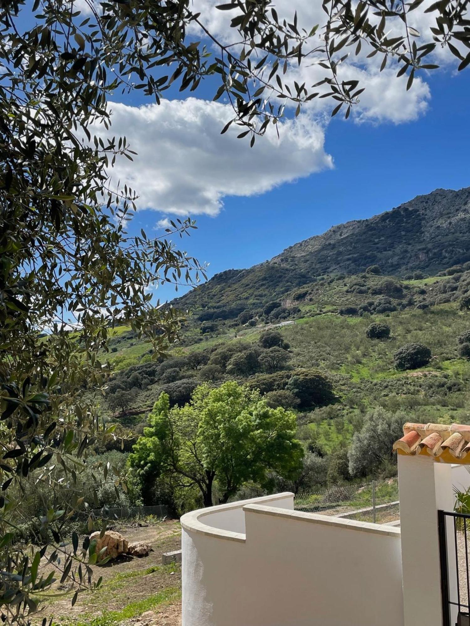 Cortijo Rancho Verde Colmenar Kültér fotó