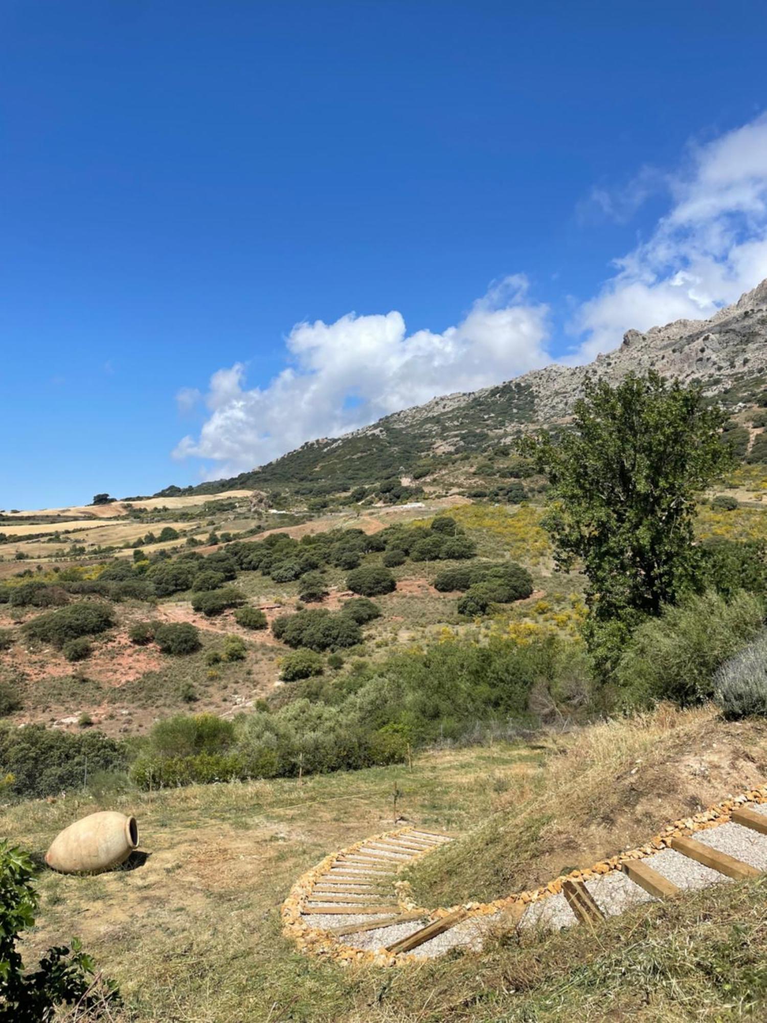 Cortijo Rancho Verde Colmenar Kültér fotó