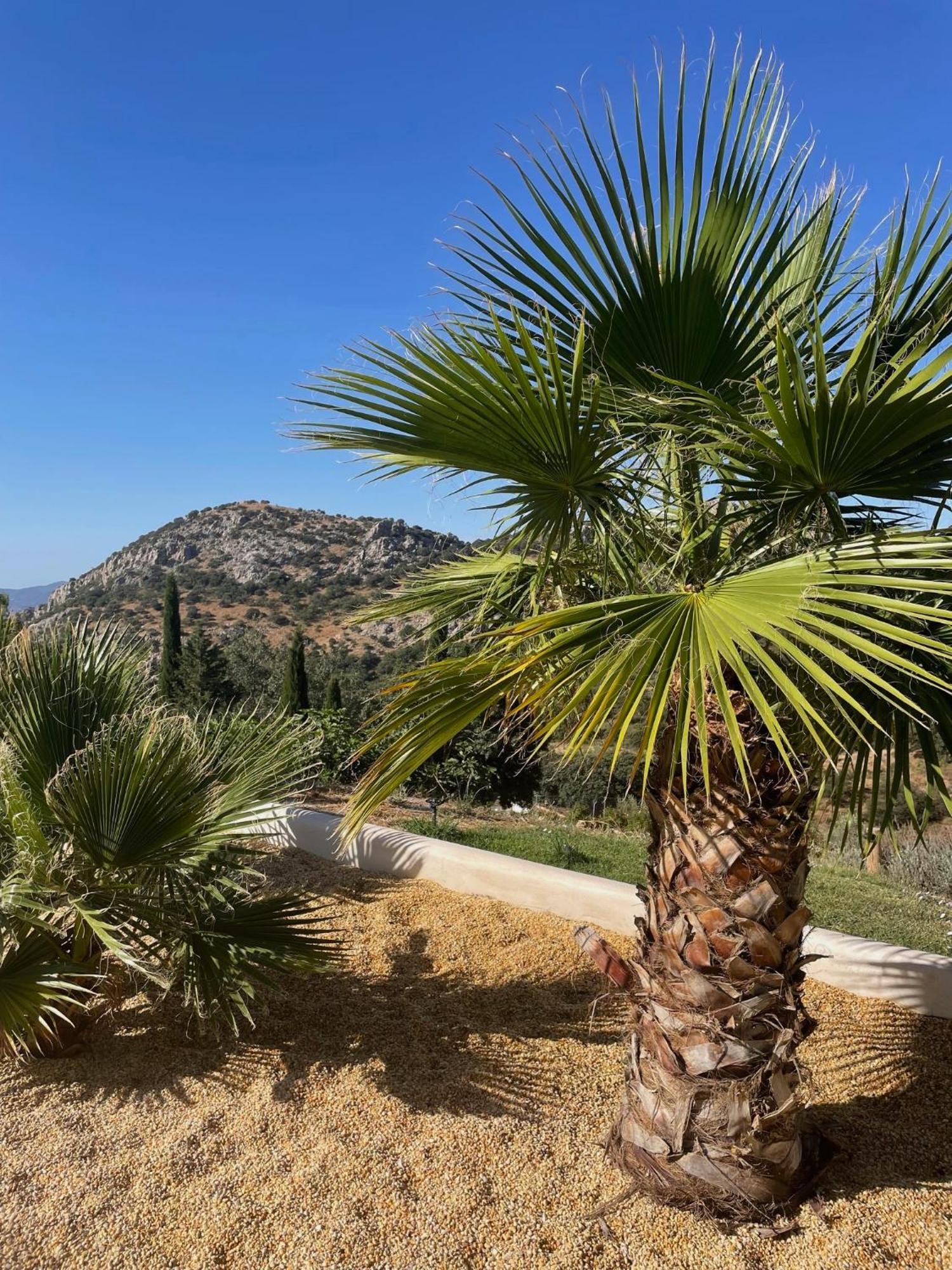 Cortijo Rancho Verde Colmenar Kültér fotó